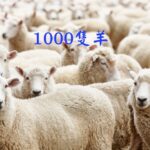 激勵-1000隻羊