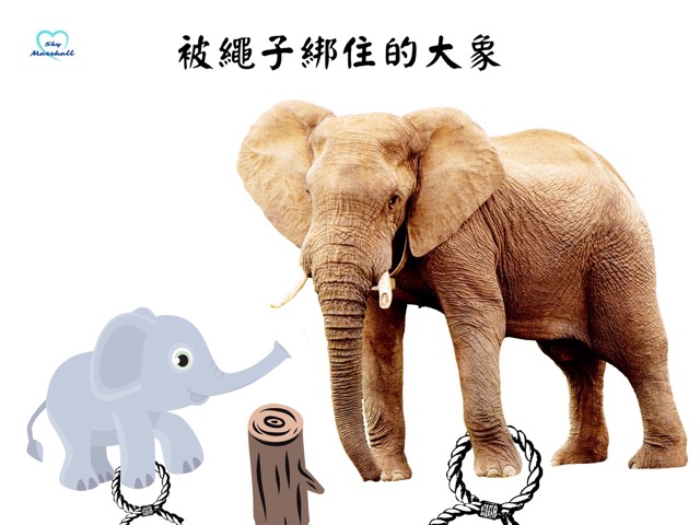 企業文化-被繩子綁住的大象文化