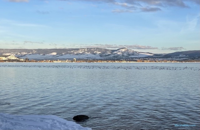 歐肯納根湖 (Okanagan) 湖畔踏雪-成群加拿大雁
