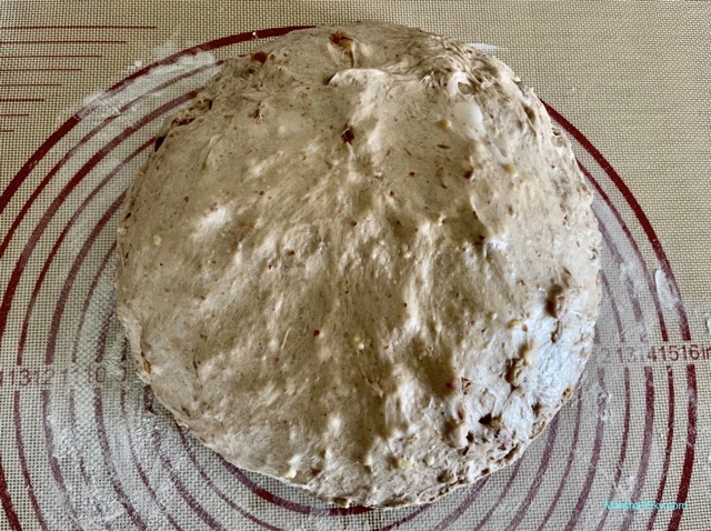 Marshall 歐式大麵包-發酵後麵糰，整理成大圓扁形。