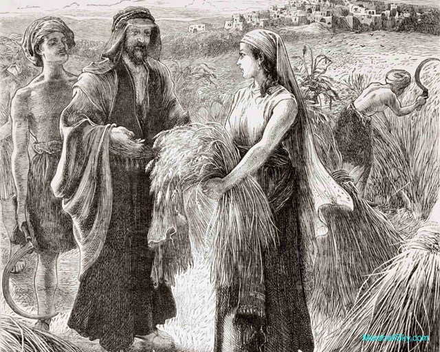 孝親-波阿斯對路得說：「不要往別人田裏拾取麥穗，我的僕人在那塊田收割，你就跟着他們去。