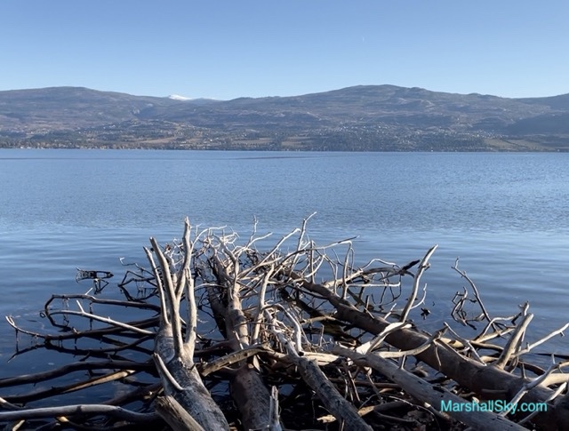 湖畔踏石-可以找個安靜的角落，坐下來，享受大自然的美妙與旋律。