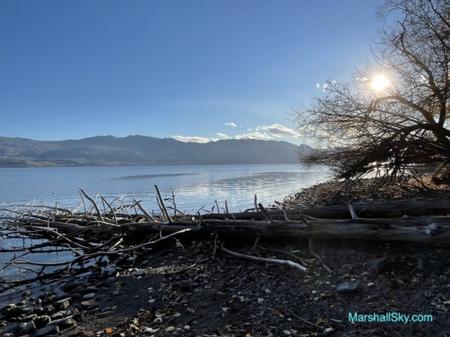 湖畔踏石-湖邊的枯木躺臥在湖中，但它們的紋理和形狀依然美麗。
