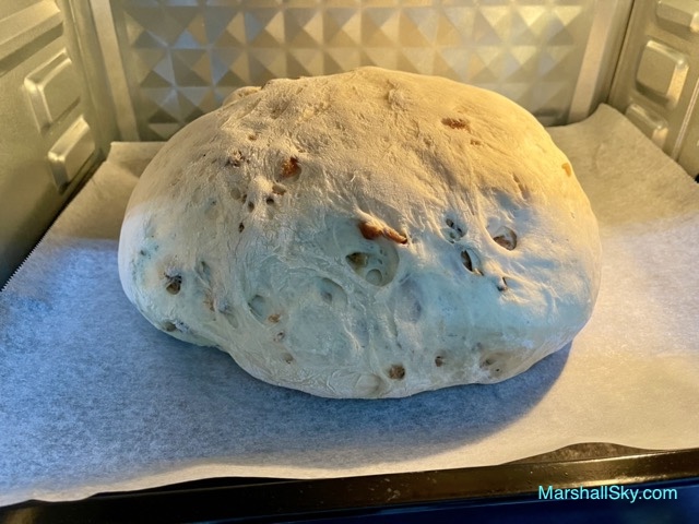 Marshall 桂圓大麵包-麵糰二次發酵成1.5-2倍大。