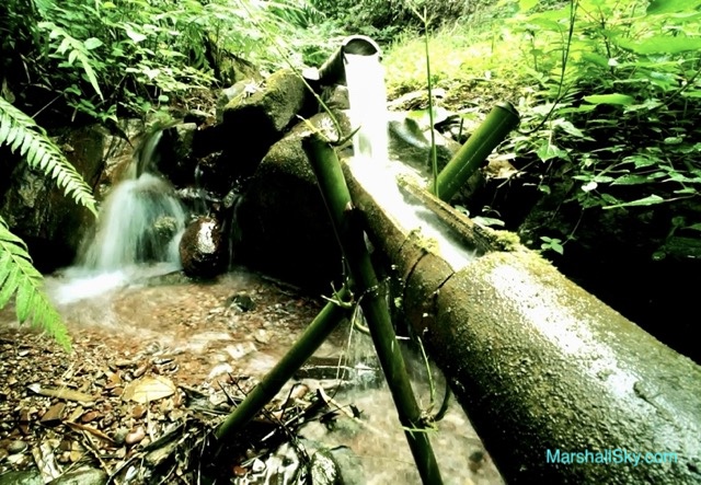 竹子生長的人生智慧-竹子的枝幹中空，擁有百納功能，可以容納水。