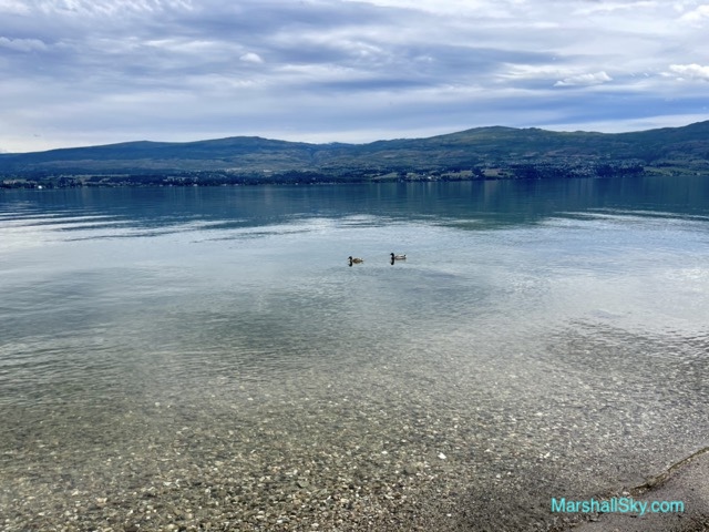 永恆的愛：湖水清澈見底，水面上悠遊的雙雁。